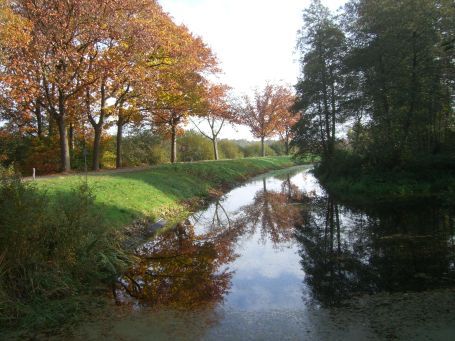 De Peel : Kanaalweg, Herbstimpressionen